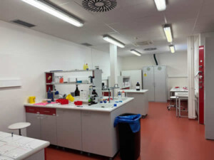 research peptides with 99 purity